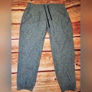 Backcountry Women's On The‎ Go 2.0 Pant Jogger Green Print Size 2XL Short